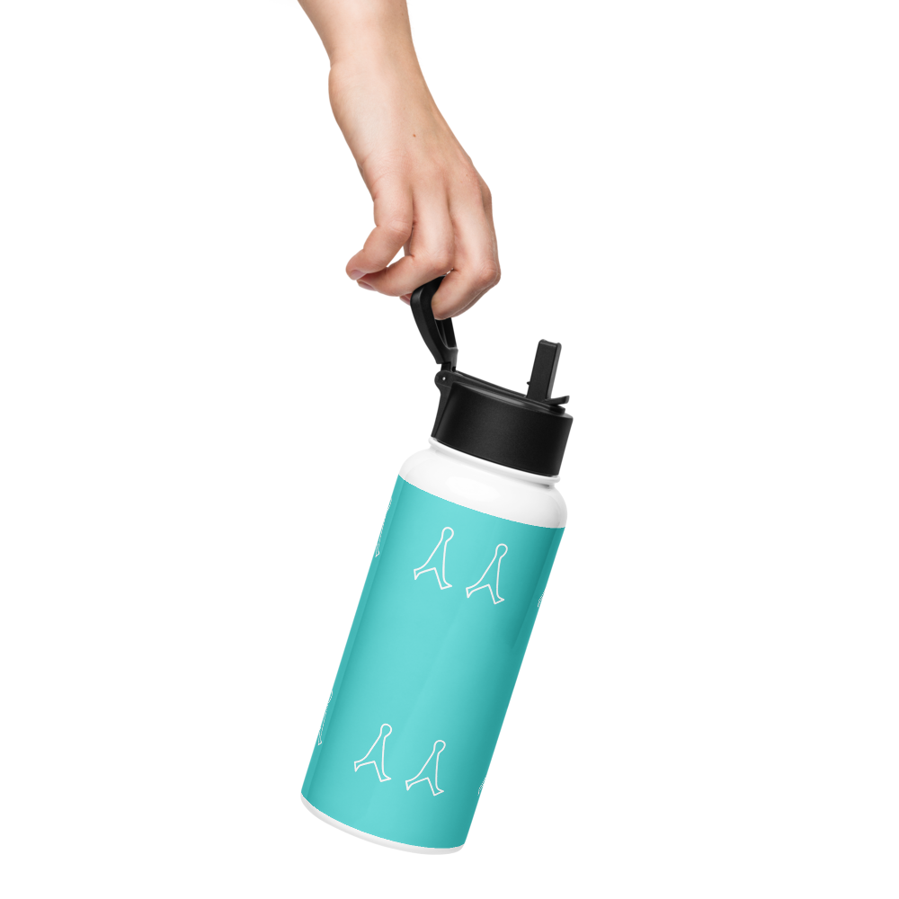 Stainless steel water bottle with Straw lid